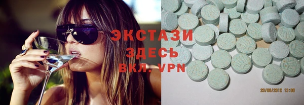индика Нягань