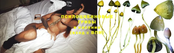 ГАЛЛЮЦИНОГЕННЫЕ ГРИБЫ Остров