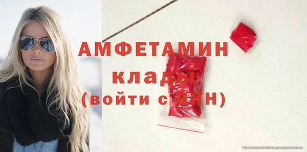 индика Нягань