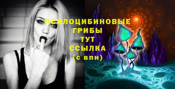 индика Нягань